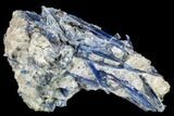 Vibrant Blue Kyanite Crystal Cluster In Quartz - Brazil #113493-3